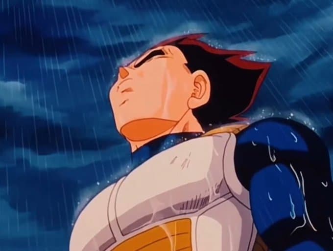 Vegeta Standing in the Rain